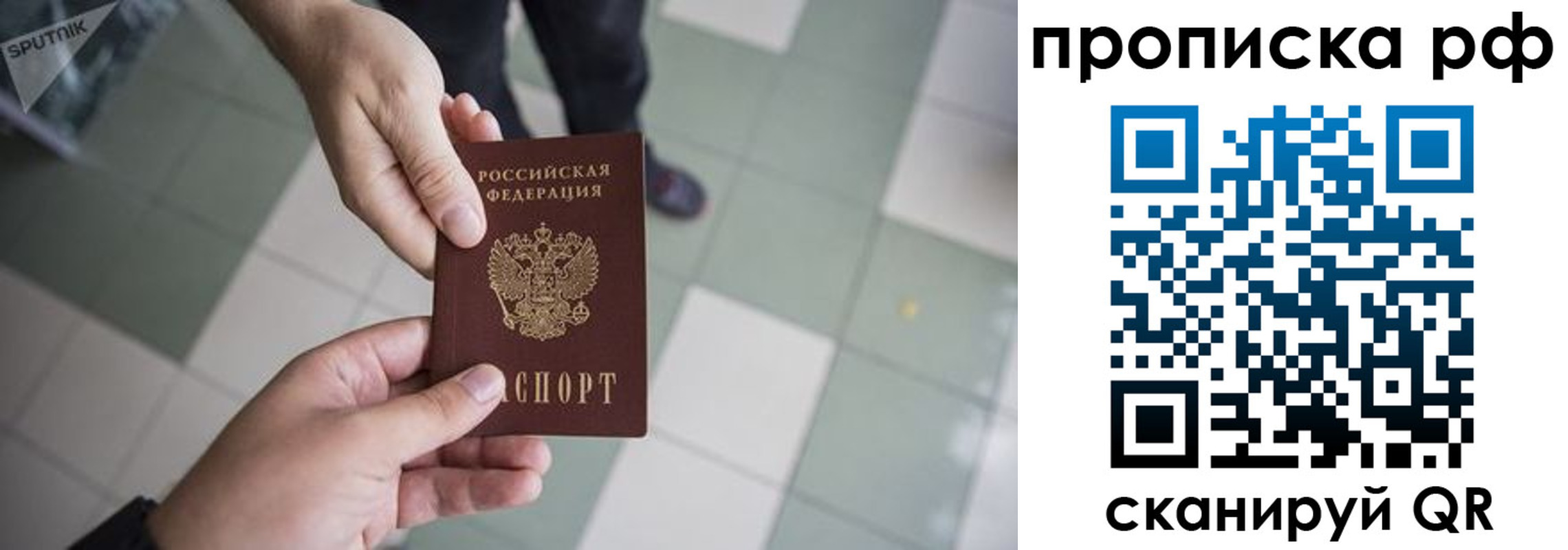 прописка гарантия в Кирсанове